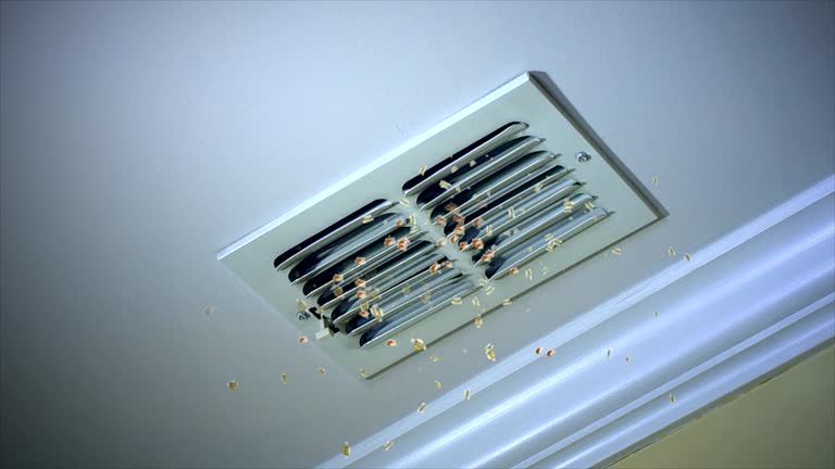 Best Duct Cleaning for Homes  in East Wenatchee, WA