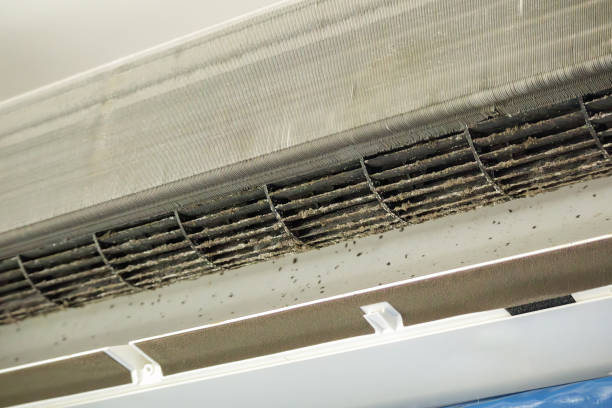 Best Residential Air Duct Cleaning  in East Wenatchee, WA